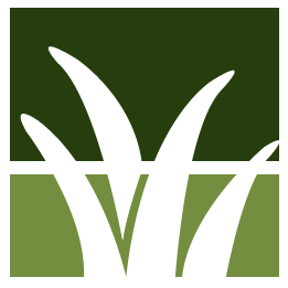 Kihei Lawn Clean Up