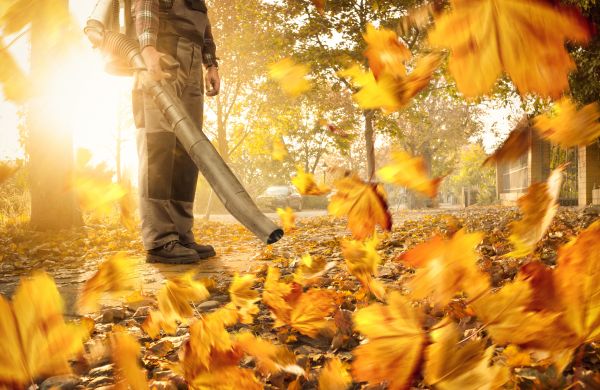 Leaf Blowing Service in Kihei