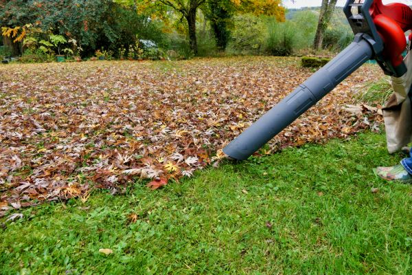 Leaf Vacuuming Service in Kihei