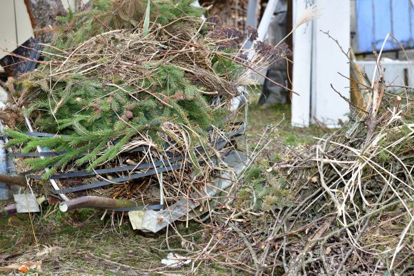 Yard Debris Removal in Kihei