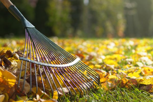 Leaf Raking Service in Kihei