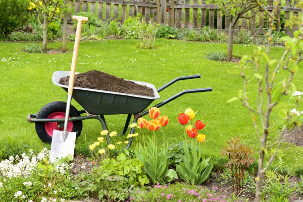 Cost of Spring Yard Cleanup in Kihei