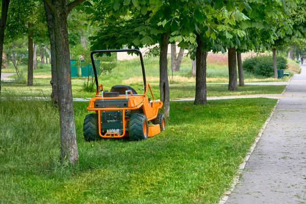 Landscaping Cleanup Service in Kihei