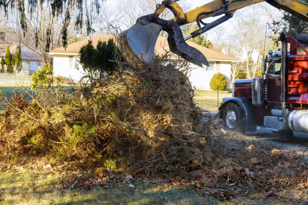 Storm Debris Removal in Kihei