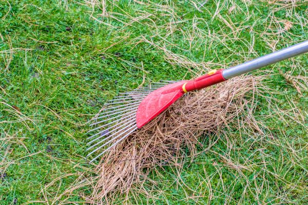 Yard Raking in Kihei