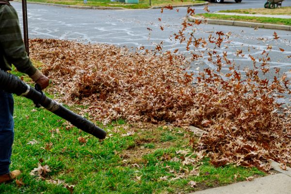 Cost of Garden Leaf Removal in Kihei