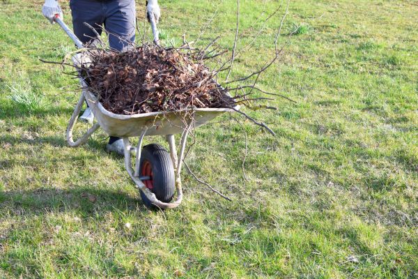 Cost of Yard Brush Removal in Kihei