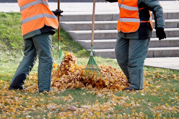 Cost of Leaf Hauling Service in Kihei
