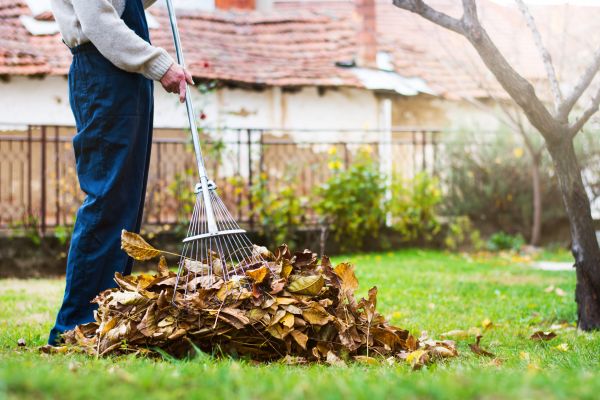 Spring Lawn Cleanup in Kihei