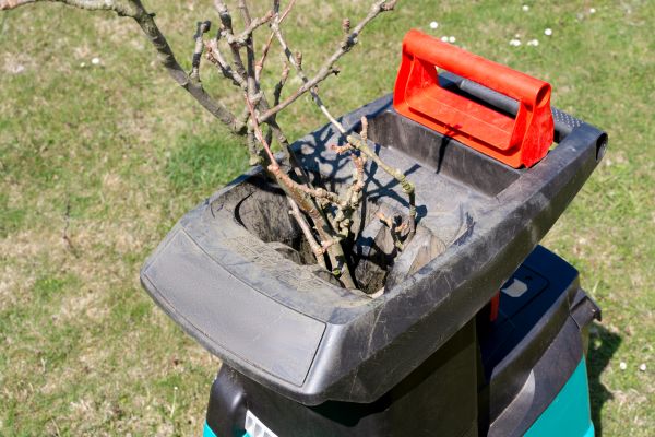 Cost of Brush Cleanup Service in Kihei