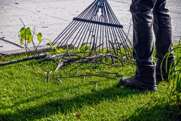 Yard Debris Cleanup in Kihei