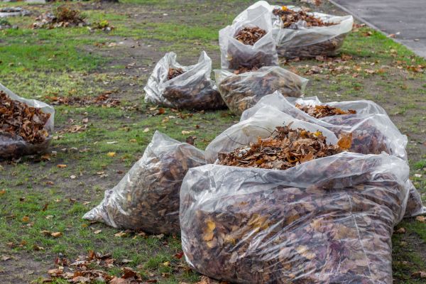 Cost of Leaf Pile Disposal in Kihei