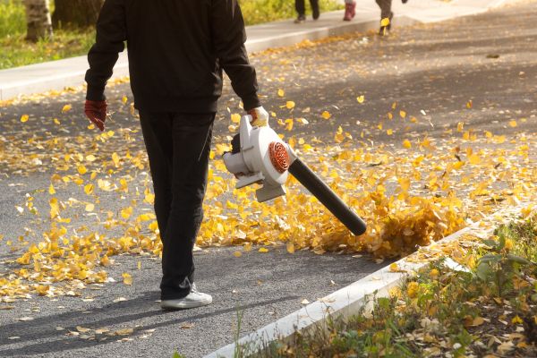 Commercial Leaf Removal in Kihei