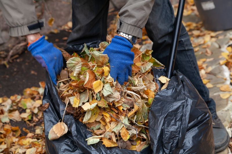 Clean Yard with Mulching Leaves