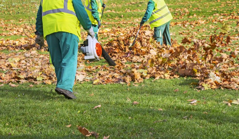 Leaf Removal Equipment