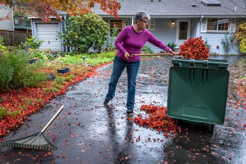 Lawn with Remaining Debris