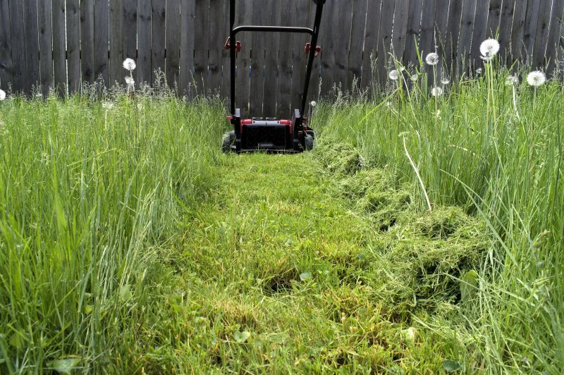 Clean Lawn Equipment