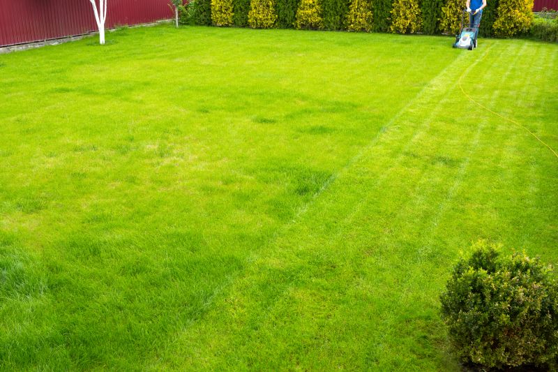 Seasonal Lawn Preparation