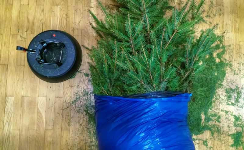 Pine Needles Removal